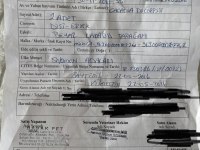 7 aylık kakadu (salomon adaları doğumlu belgeli cipli)