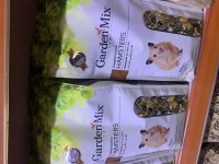 Çok Şirin Suriye Hamster Yavrular Adana