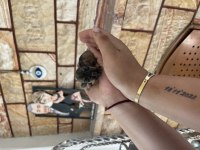 ANNE ALTINDAN REZERVE SCHNAUZER BEBEKLER