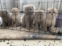 Güzelliklerime yuva arıyorum