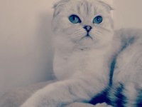 Çok sakin ve seveceb 1 Kez doğum yaptı