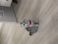 Güzel kızımı sahiplendiriyoruz
