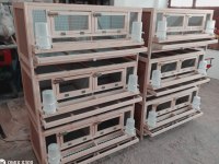 Bıldırcın güvercin keklik kafes kümes ve yumurta