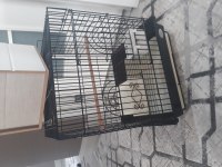 Papağan muhabbet kuşu kafesi