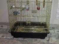 Muhabbet kuşu kafes