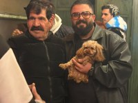 Teacup koyu renkli maltipo yavrularımız