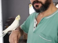 Alışkın sultan papağanımız