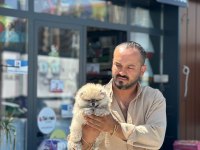Teesdy Pomeranian Boo gülen köpeğimiz