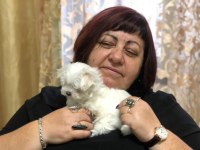 Maltese Terrier Adrese Teslim, Kapıda Ödeme Yapabilirsiniz