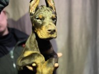 Dünyaca ünlü doberman torunları
