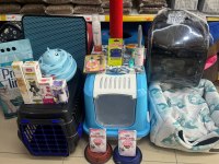 BRİTİSH SHORHAİR YAVRU VE FARKLI TÜR BEBEKLERR