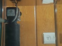 60 lt satılık akvaryum ve içindekiler