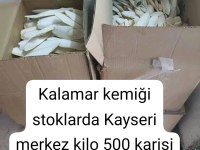 Kalamar Kemiği