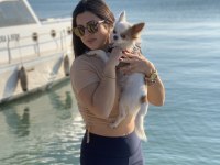 Oğluşuma Gelin Adayı Arıyorum Chihuahua