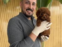 Referans Yavru Köpeklerimiz