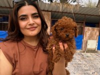 Kıvır Kıvır Kore Poodle Bebekler