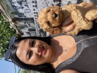 Toy poodle ve kore poodle yavrularım