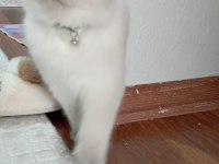 4 aylık oyun aşığı bebiş