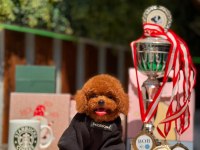 İnstagram Cagri.cemcem