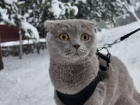 Dünya Tatlısı Kızımız