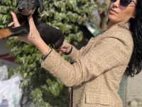 Doberman yavrularım sağlık ve ırk garantilidir