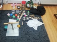 Full evcil yaşını doldurmamış alexander