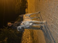 10 Aylık Erkek Kangal Dev Yavru