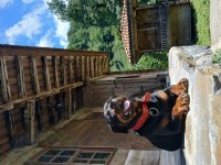 koca kafalar rottweiler