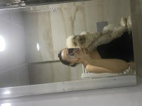 9 Aylık Poodle oğluma eş arıyorum