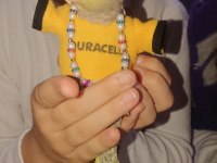 Sultan Papağanı Yavru erkek dişi takım