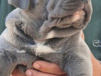 SILVER BLUE YANI GUMUS VE MAVI GOZLU NUN EN GUZELLERI