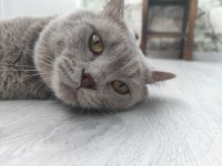2 YAŞINDA OYUNCU