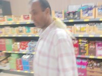 Lutino Kırmız Göz Sultan Papağanı