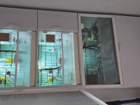 3 Katlı Üretim Kafesi Sıfır Ayarında Muhabbet Kuşu