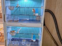 PVC KAFES