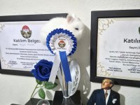 Orjinal Cüce Yavru Tavşanlar