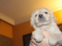 Baby Face 3x Yavrumuz Var Bakımlı