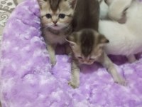 Miniklerim yeni yuvalarına gitmeye hazır