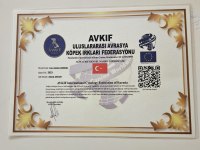 Yorkshire terrier yavrularımız a yuva arıyoruz