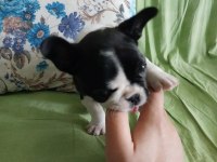 İngiliz yeni sahibini bekliyor