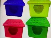 Aynı gün eve teslim hamster siz isteyin biz getirelim