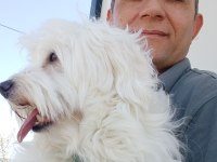 Eğitimli akıllı evcil köpeğimiz