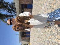 Maltipoo Yavrularım Sağlık Ve Irk Garantilidir