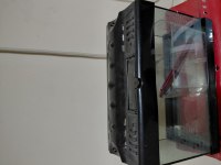 Akvaryum fanus betalık motor