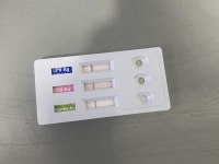 1 buçuk kg olacak bichon frise (uygun)