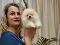 Boo Pomeranian Garantili Çiftliğimizden Yavrularımız