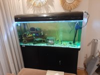 125×50×45 cm mobilyalı ithal akvaryum