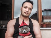 Erkek british kedimiz ücretsiz