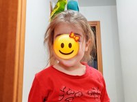 Eğitim vermek için tam zamanı uysal muhabbet kuşu