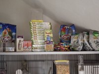 Kuş hobisini bıraktığım için herşeyi satıyorum
